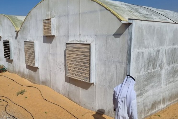 Abu Dhabi: meer product, minder water en middelen Abu Dhabi: meer product, minder water en middelen