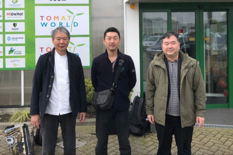 Japanse professoren bezoeken Tomatoworld Japanse professoren bezoeken Tomatoworld