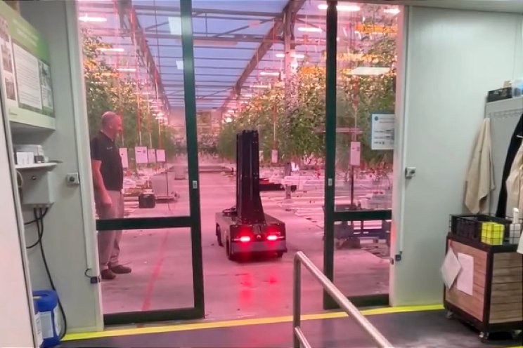 Tomatoworld zet volgende stap in robotisering Tomatoworld zet volgende stap in robotisering