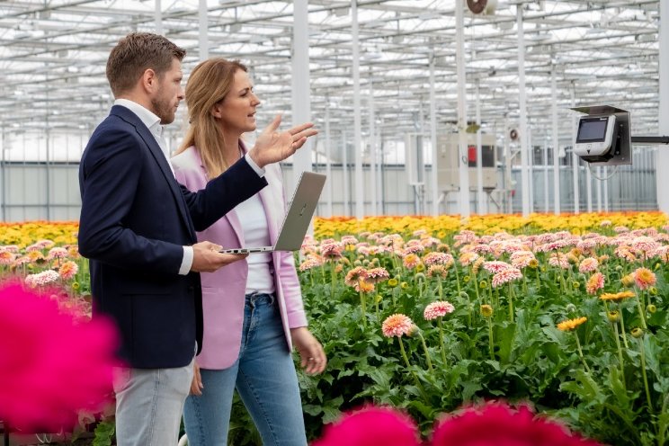 SDF Horti Software volop in ontwikkeling SDF Horti Software volop in ontwikkeling