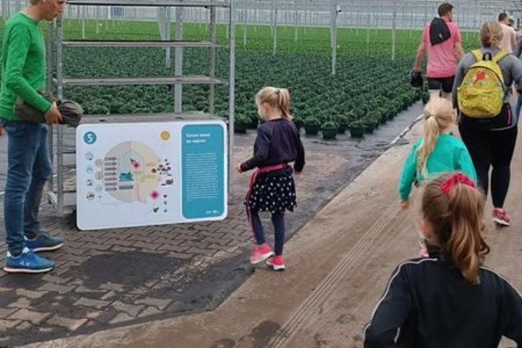 Promotie glastuinbouw tijdens Avondvierdaagse Promotie glastuinbouw tijdens Avondvierdaagse