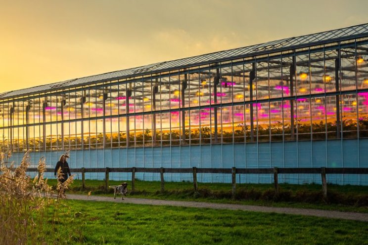 Lancering HortiScience Innovation Center