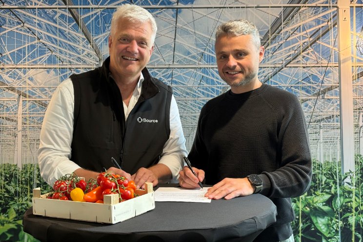 AI-tool Harvest Forecast voor gehele tomatenareaal AI-tool Harvest Forecast voor gehele tomatenareaal