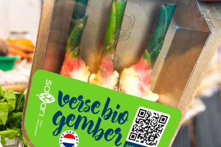 Eerste gember van Nederlandse bodem Eerste gember van Nederlandse bodem