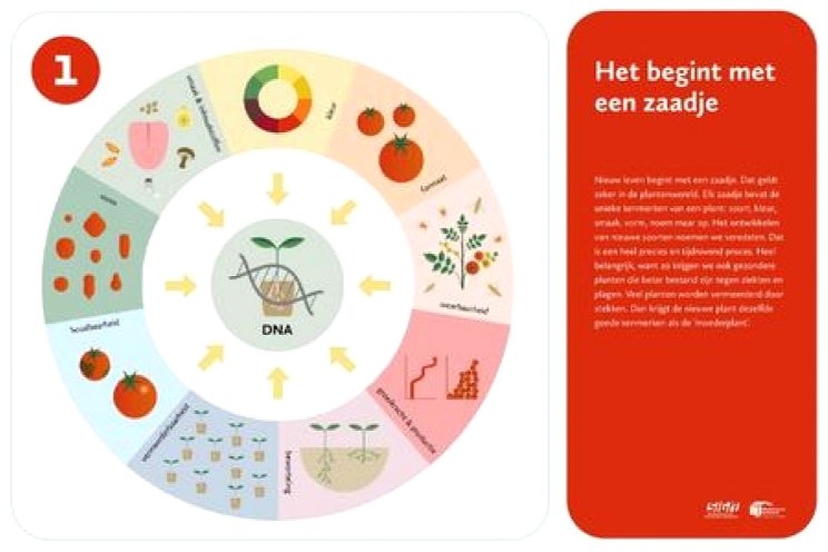 Vijf verhaallijnen nu ook met groente-afbeeldingen Vijf verhaallijnen nu ook met groente-afbeeldingen
