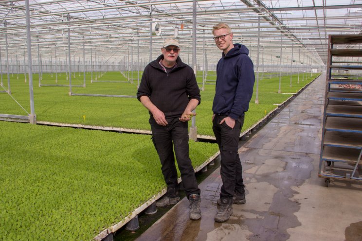 Groene parels uit Bleiswijk Groene parels uit Bleiswijk