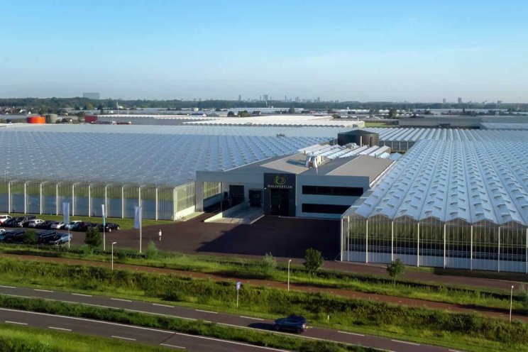 Duijvestijn en The Flavour Farm versterken ambities Duijvestijn en The Flavour Farm versterken ambities