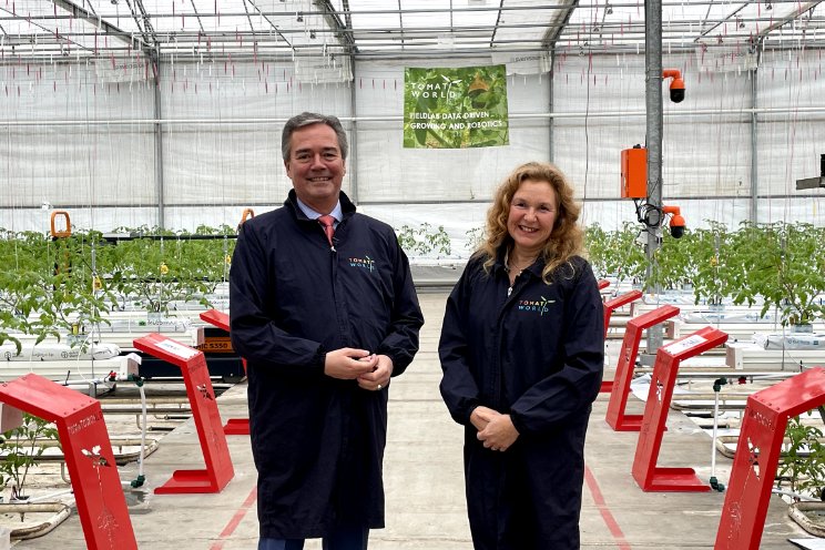 Zuid-Holland steunt dataproject Tomatoworld