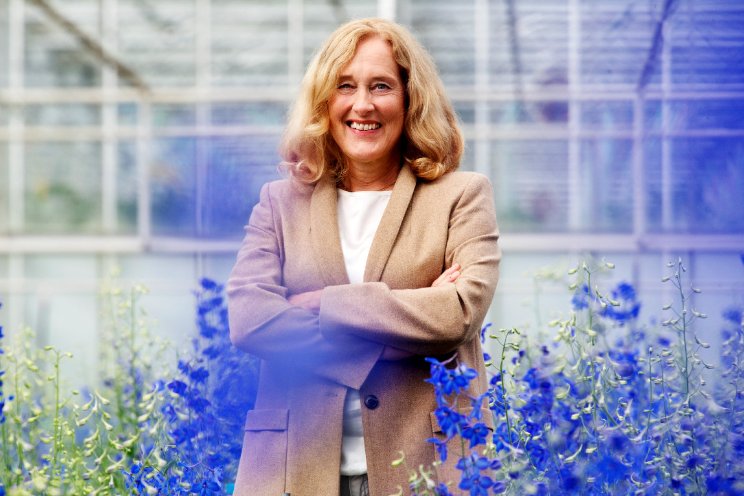 Adri Bom-Lemstra op BNR Adri Bom-Lemstra op BNR