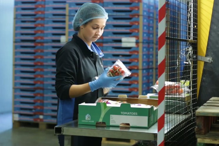 Arbeidsmarkt minder krap Arbeidsmarkt minder krap
