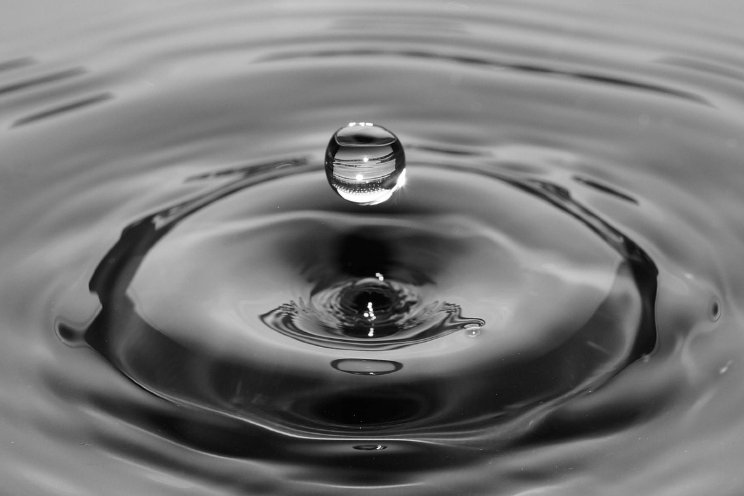 Professionalisering Watercoach gaat door