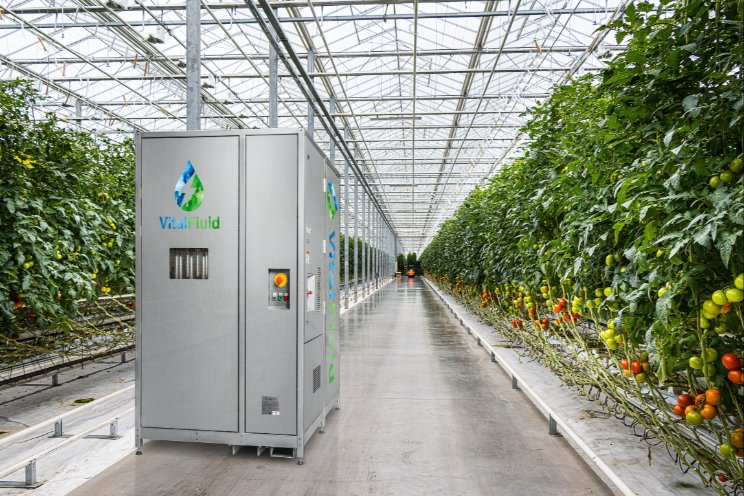 Horticoop investeert in plasmatechnologie Horticoop investeert in plasmatechnologie
