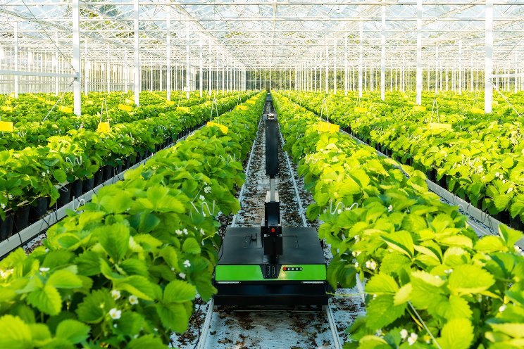 Octiva Innovation Partner van Delphy ISFC Octiva Innovation Partner van Delphy ISFC