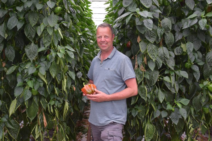 Goedkeuring Operationeel Plan SIG&F The Greenery Goedkeuring Operationeel Plan SIG&F The Greenery