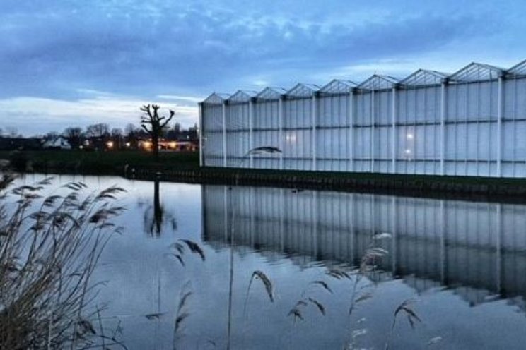 Jaarplan glastuinbouw: Water & Omgeving Jaarplan glastuinbouw: Water & Omgeving