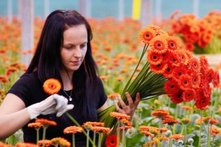 Flexibel en korter werken maakt productiever Flexibel en korter werken maakt productiever