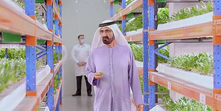 Vertical Farming Wednesday... Koninklijk bezoek